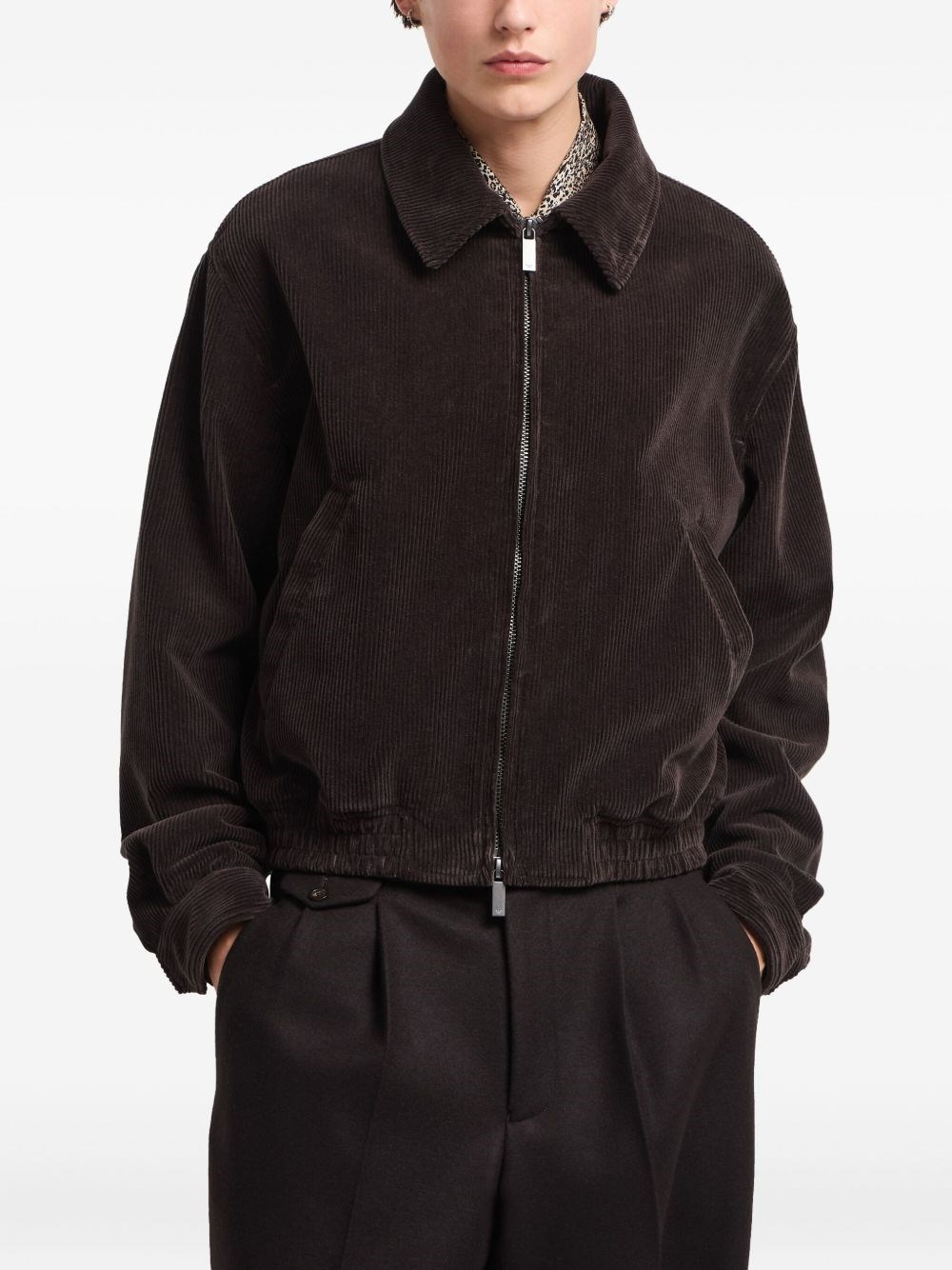 Emporio Armani Cotton Ribbed Bomber Jacket In Brown