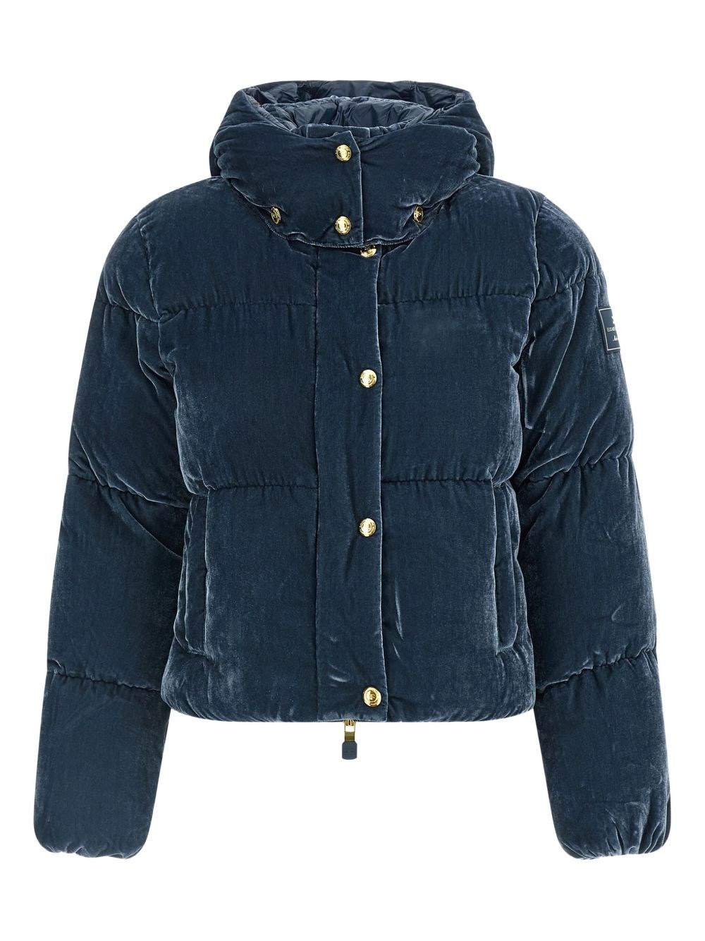 Elisabetta Franchi Cropped Down Jacket In Blue