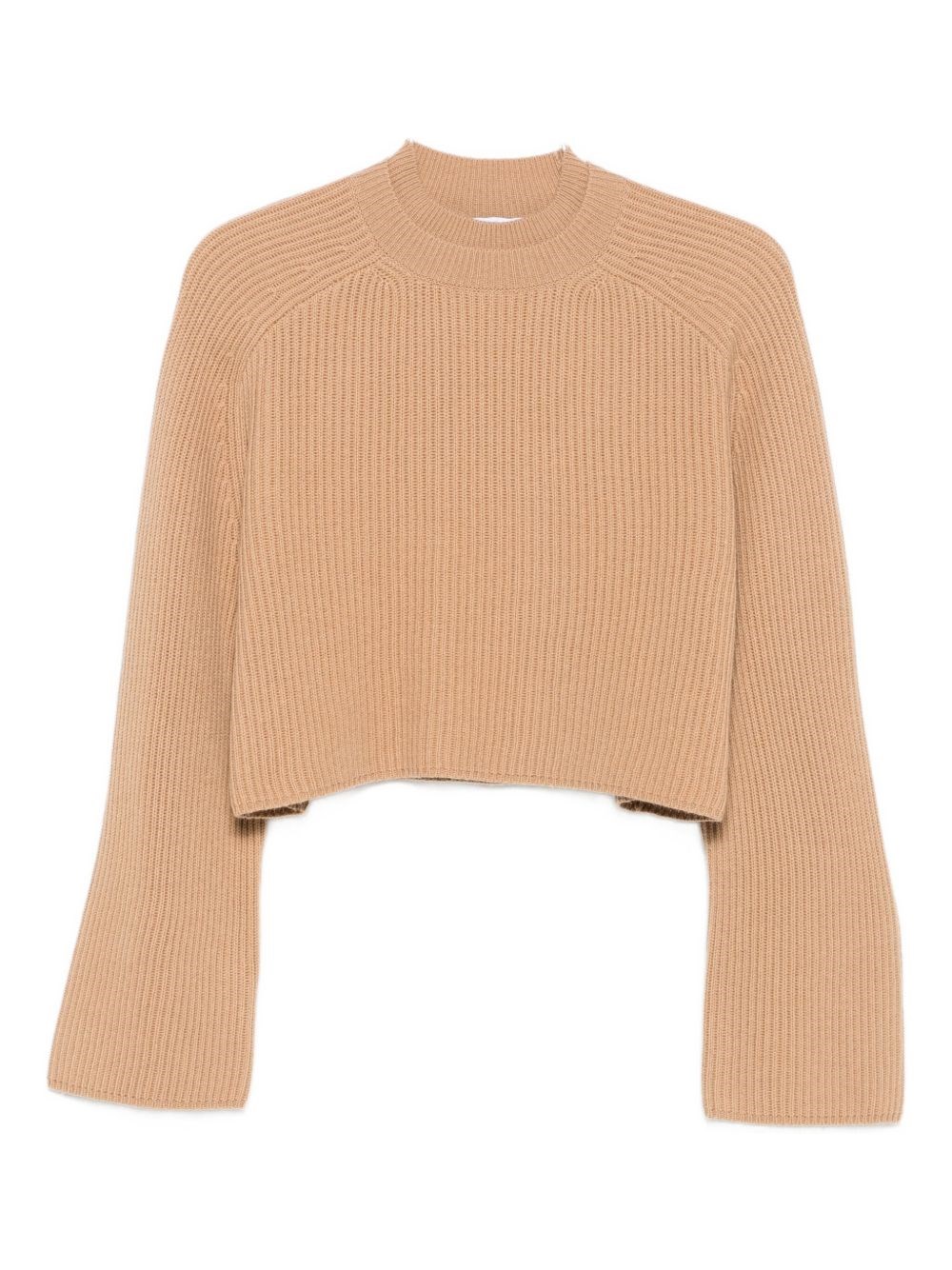 Max Mara Crew Neck Sweater In Cashmere Wool