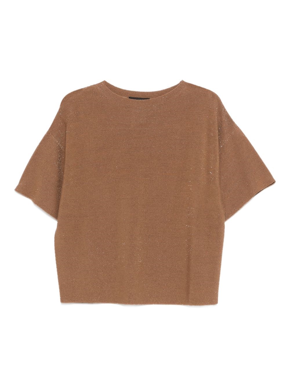 Fabiana Filippi Wool And Cotton Sweater In Brown