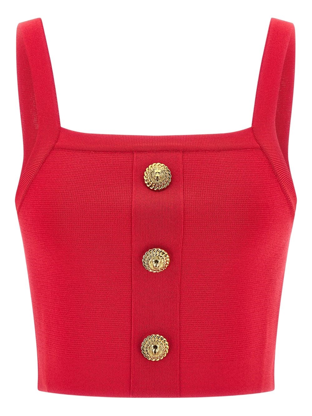 Balmain Brassiere Top