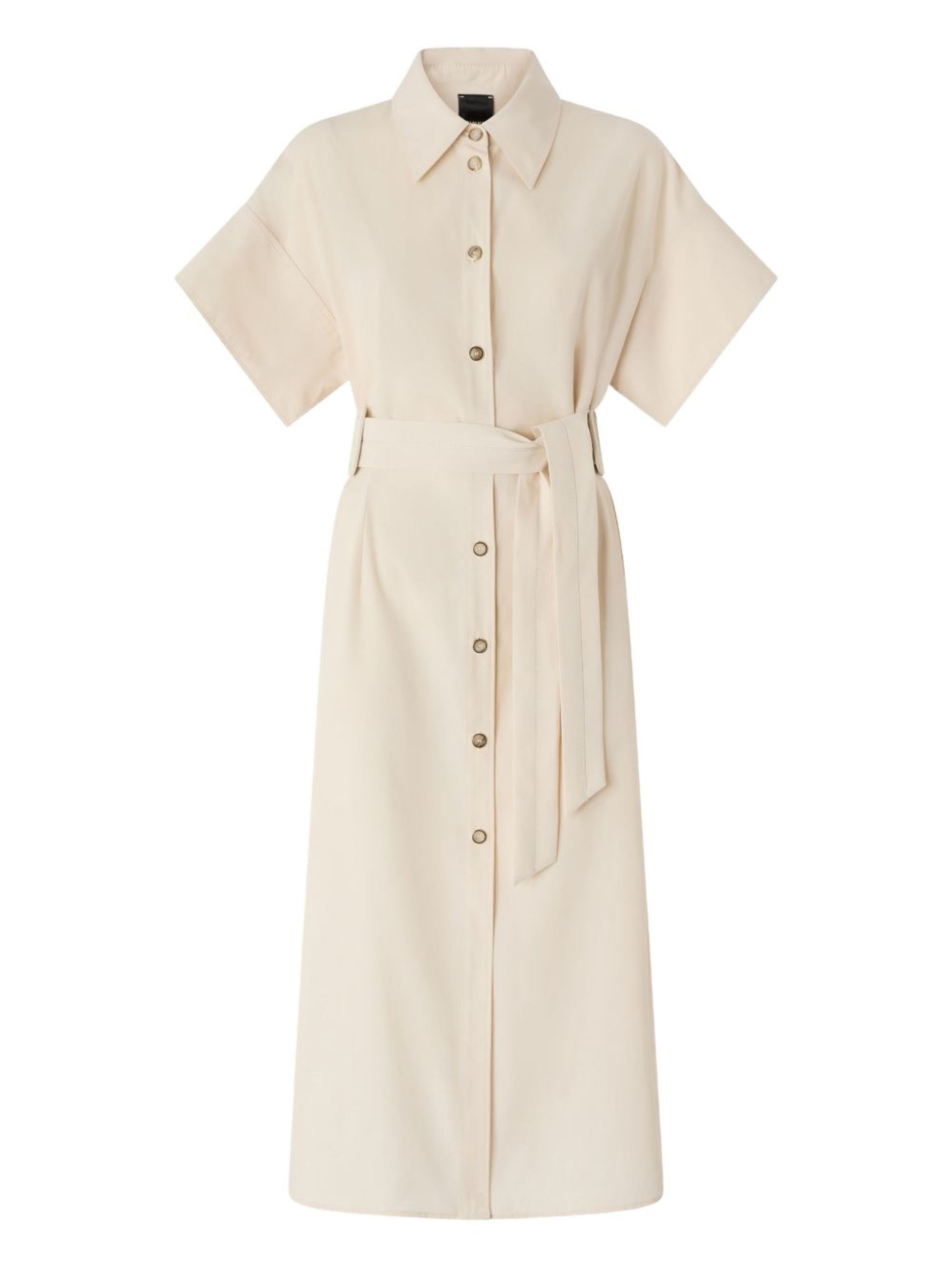 Pinko Alesha Dress