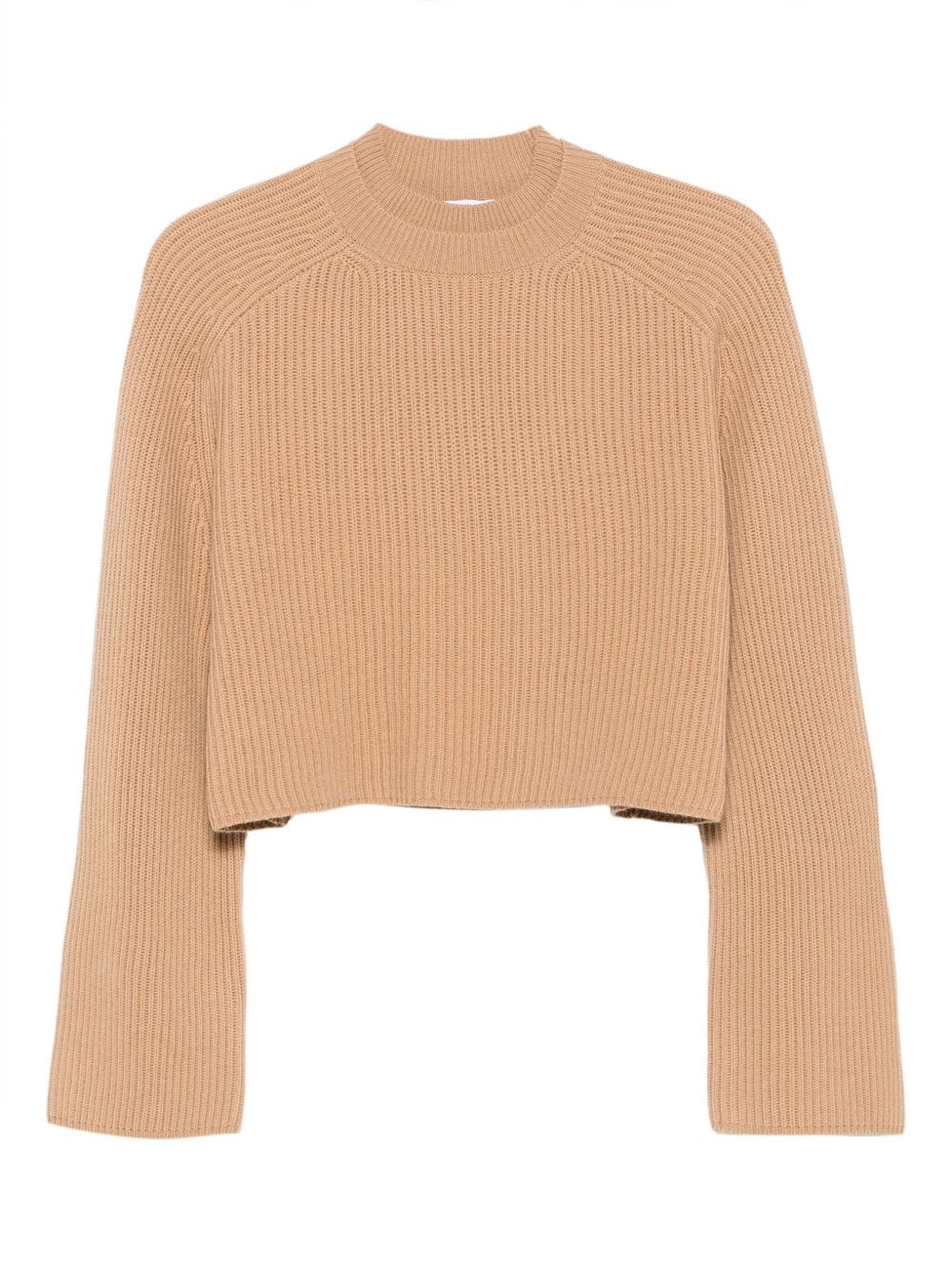 Max Mara Crew Neck Sweater In Cashmere Wool
