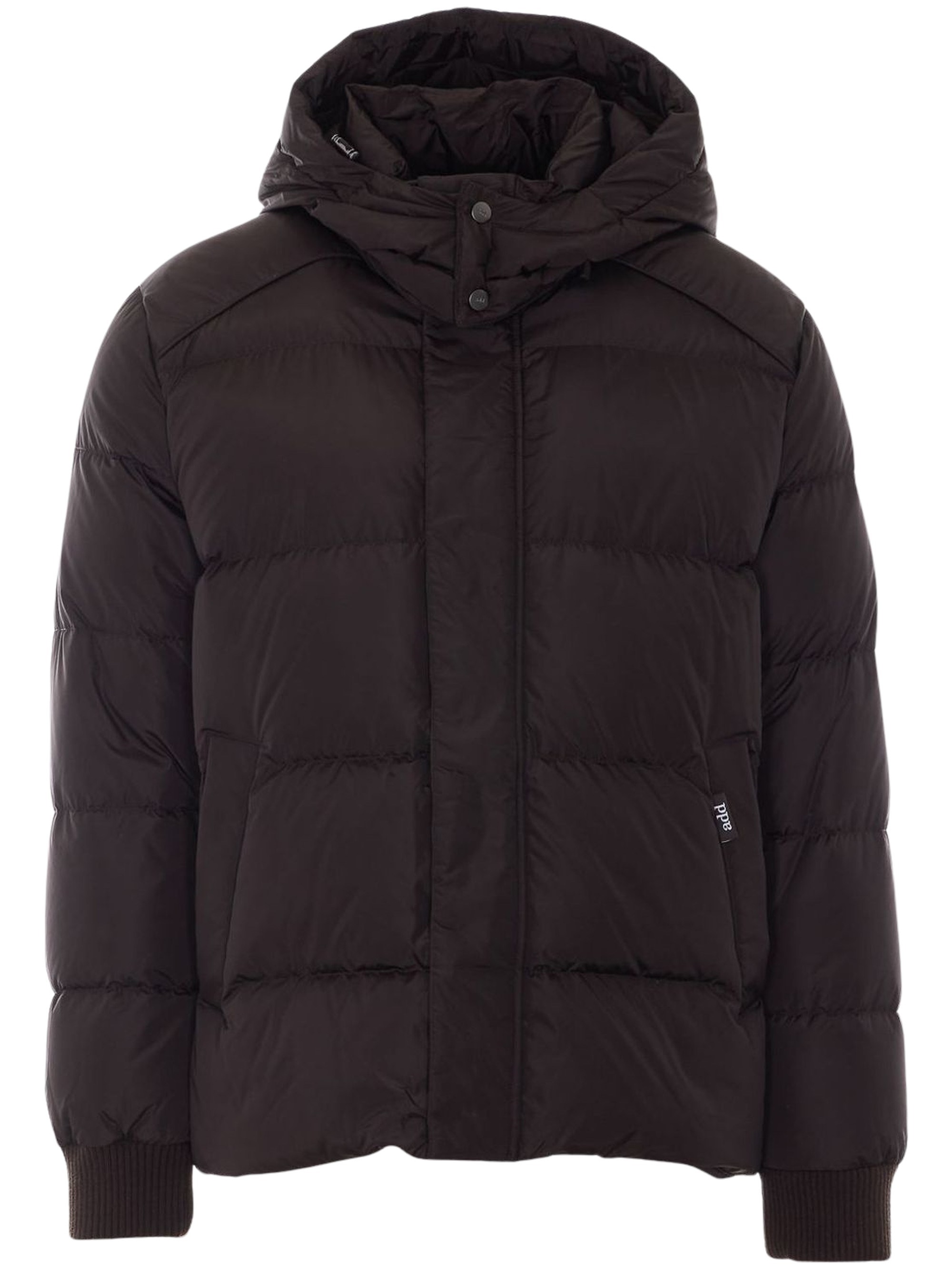 Hooded Padded Down Jacket By Add
